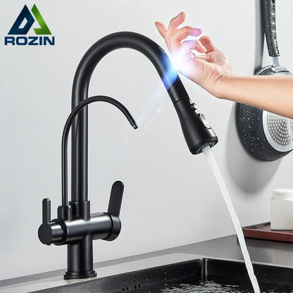 DecorBites™ Black Dual Modes Kitchen Faucet 2 in 1 Pure Water Mixer Tap