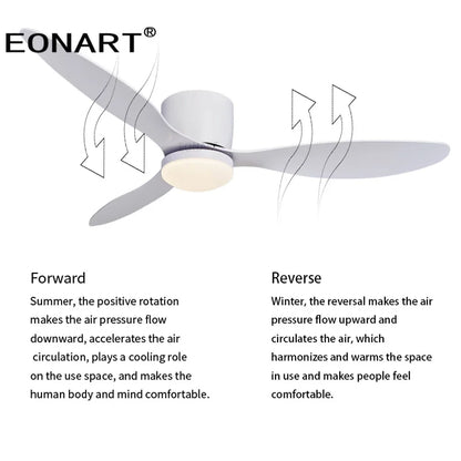 DecorBites™ 42-Inch Black Ceiling Fan with LED Light & Remote Control