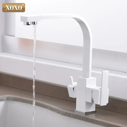 DecorBites™ Black Single Hole Kitchen Faucet Mixer Tap for Drinking Water