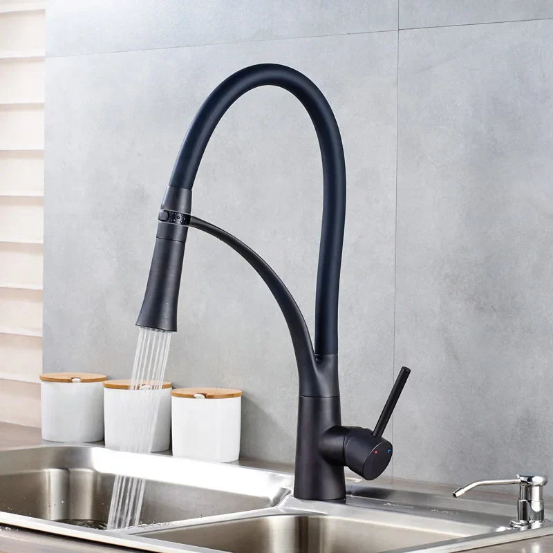 DecorBites™ Black Hose Kitchen Mixer Tap with Single Handle Stream Sprayer, Chrome Finish