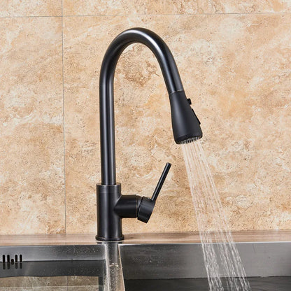 DecorBites™ Black SUS304 Pull Out Kitchen Faucet Tap Single Handle Sink Mixer Spout