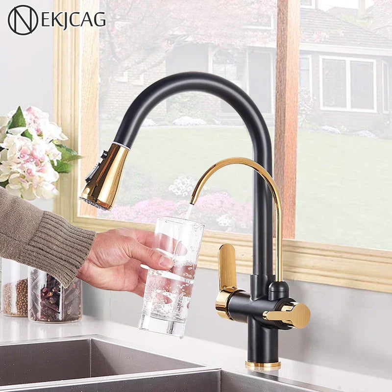 DecorBites™ Black Gold Filter Kitchen Faucet with Dual Spout and Handles