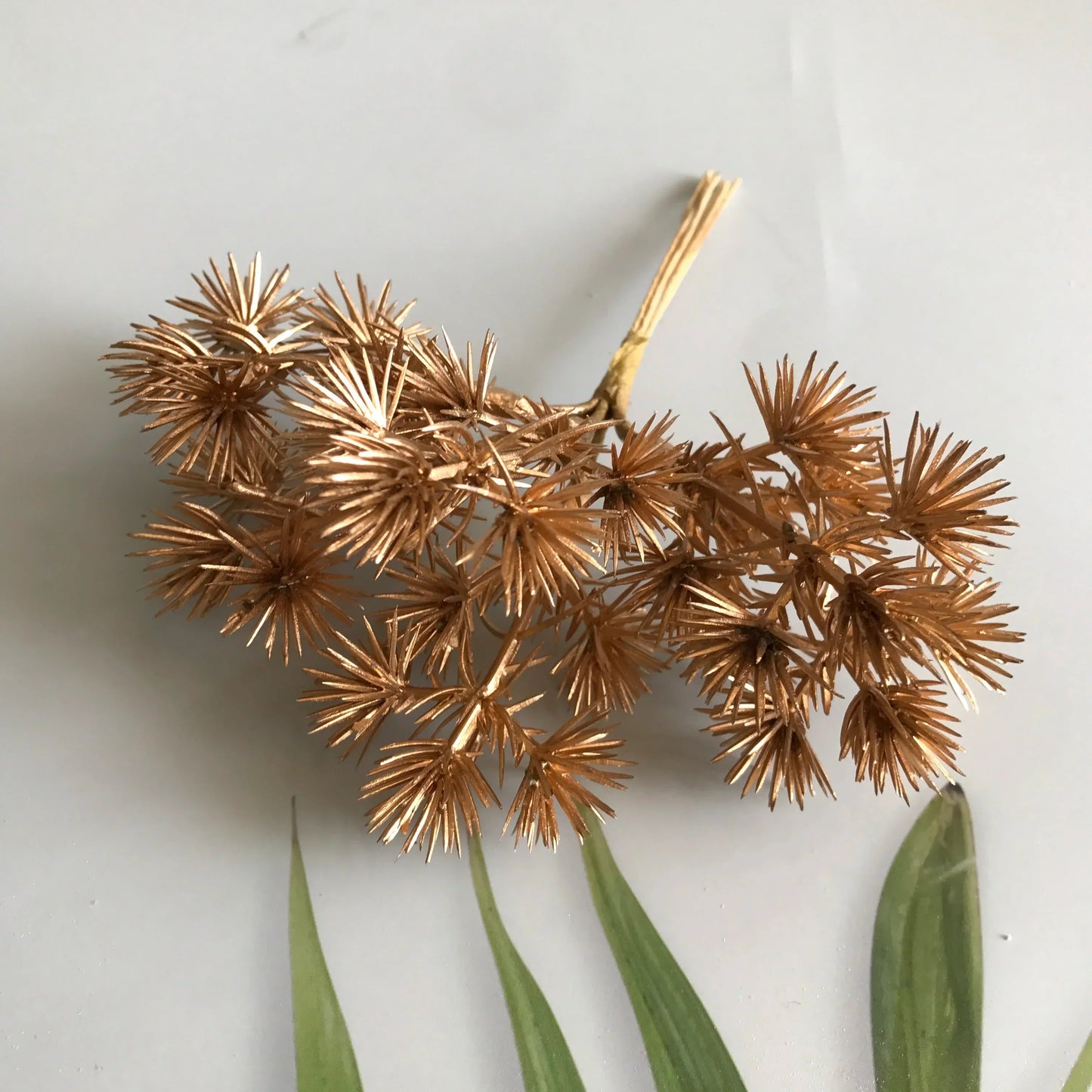 DecorBites™ 6pcs Dried Flower Mix for Jewelry Making & Aromatherapy Candle Crafts