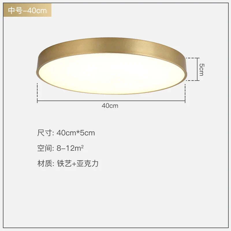 DecorBites™ Gold Acrylic LED Ceiling Light - Modern Ultra-Thin Surface, Nordic Design