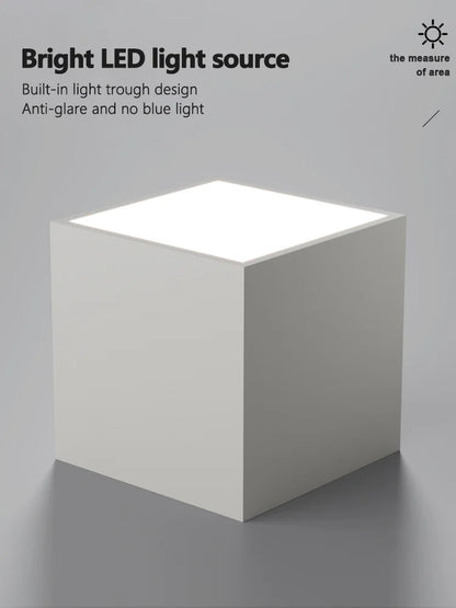 DecorBites™ Bedroom Ceiling Lamp: New Modern Master Bedroom Lighting, Nordic Design, Black&White
