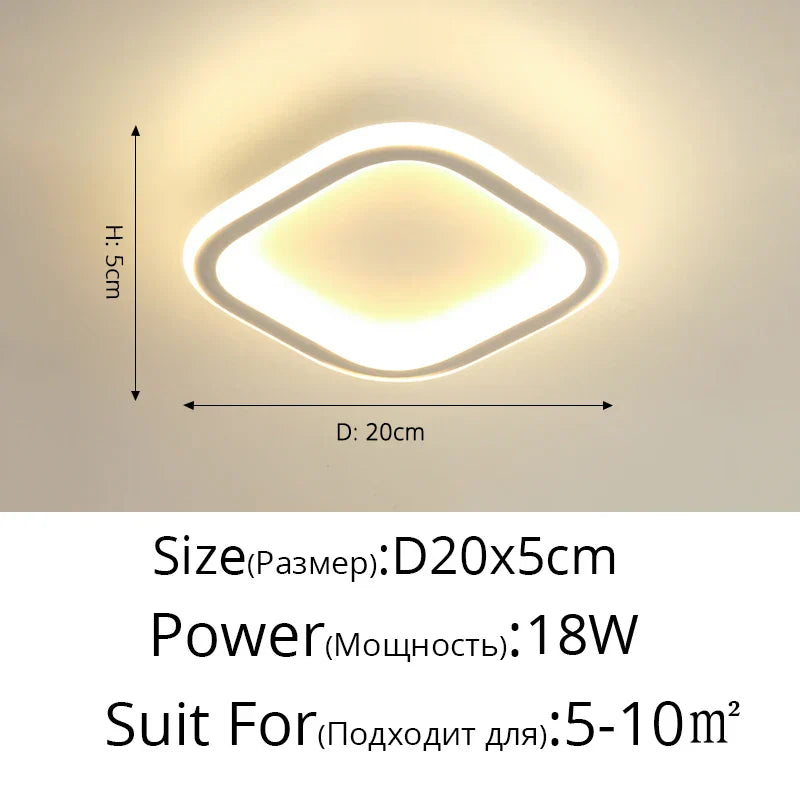 DecorBites™ Black Led Ceiling Light for Home Entryway - Modern Balcony Indoor Lamp