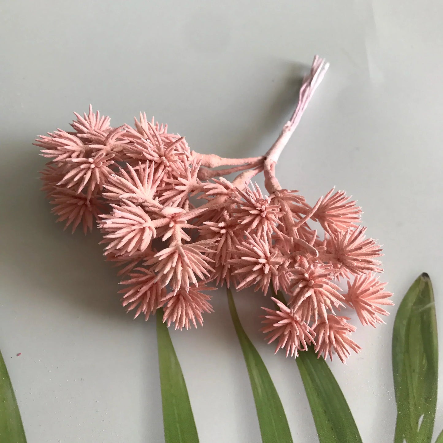 DecorBites™ 6pcs Dried Flower Mix for Jewelry Making & Aromatherapy Candle Crafts