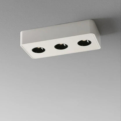 DecorBites™ 36W LED Surface Mounted Ceiling Light for Foyer Living Room