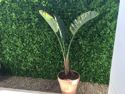 Sample Panel – Green Tropics Vertical Garden (Small Sample)