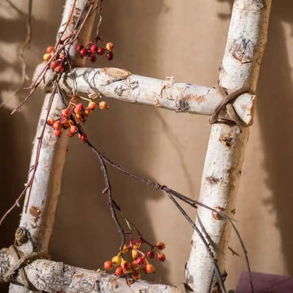 White Birch Wood Decorative Ladder
