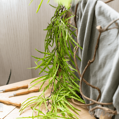 Artificial Ferns Vine Stem 39" Long