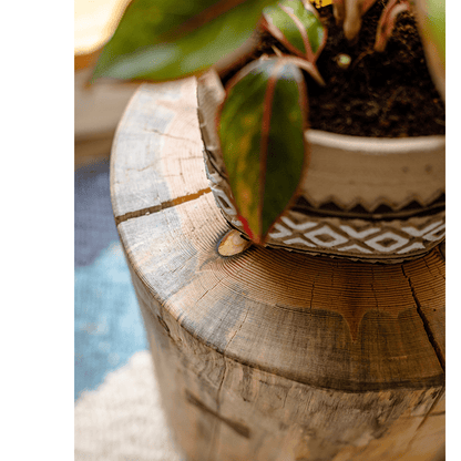 Pine Wood Pedestal Table Side Table