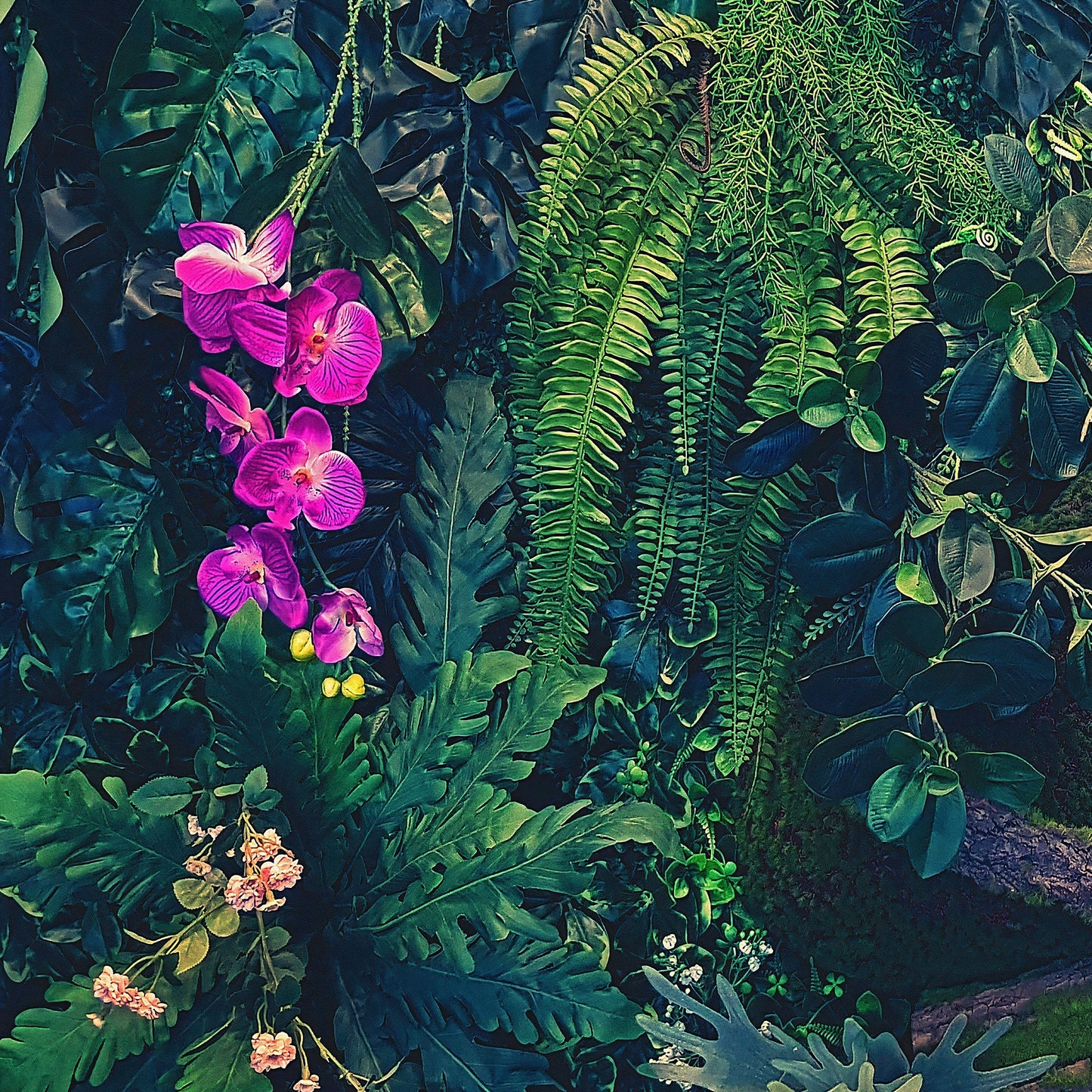 Jungle Wallpaper, Forest Greenery Botanical Wall Mural. #6741