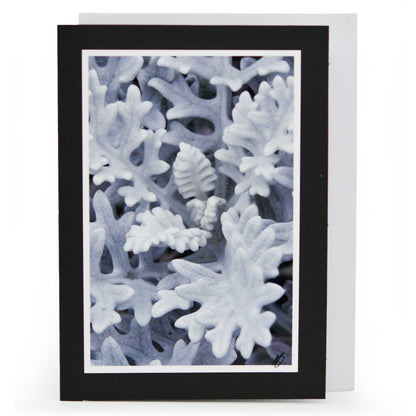 Blank Christmas Greeting Card | Multiple Designs | KJ Made