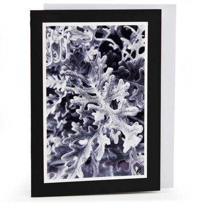 Blank Christmas Greeting Card | Multiple Designs | KJ Made