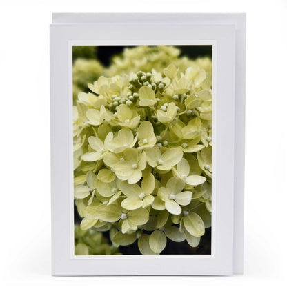 White Greeting Card | Multiple Designs | KJ Made
