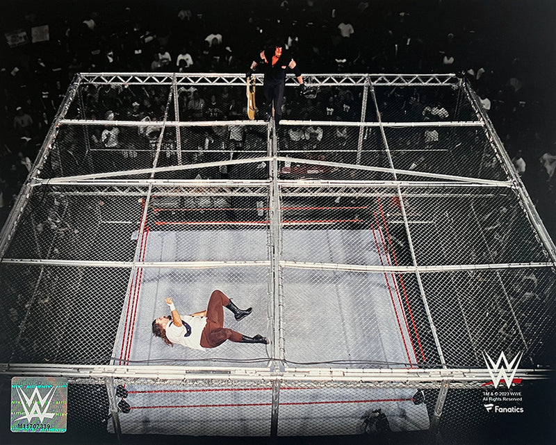 Mankind v. The Undertaker Hell in a Cell 8" x 10" WWE Wrestling Photo