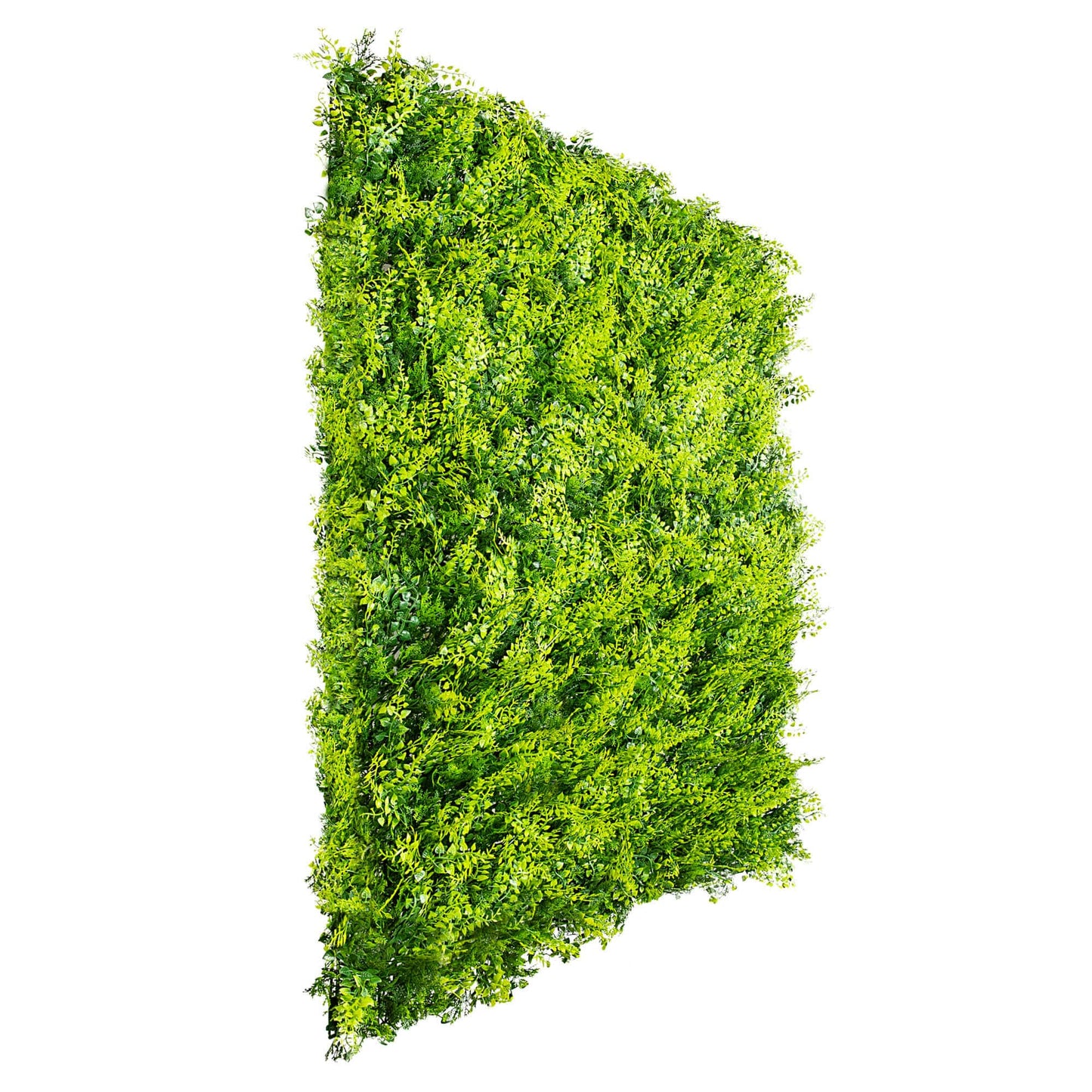 Sample Panel – Lush Fern Green Wall (Small Sample)