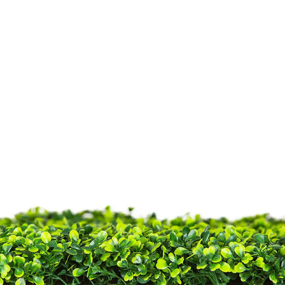 Sample Panel – Mixed Boxwood Green Wall (Small Sample)