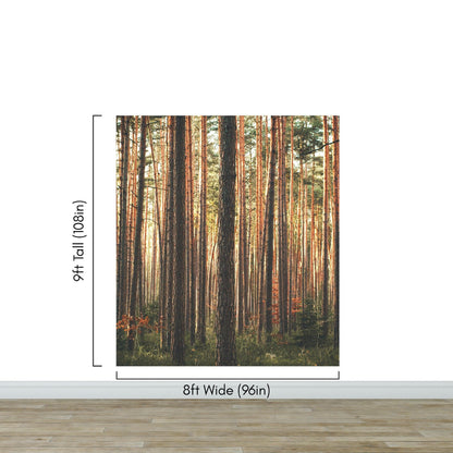 Forest Wallpaper Mural. Woodland Country Theme / Farmhouse Wall Decor. #6777