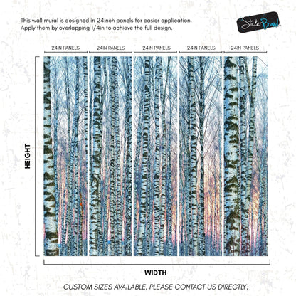 White Birch Tree Forest Wall Mural Wallpaper. Sunset Scenery. #6246