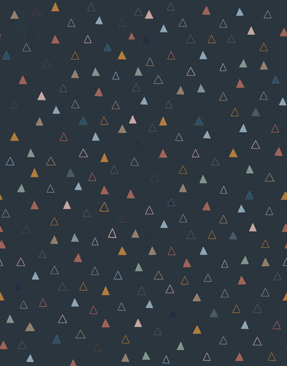 Nolan Wallpaper by Morgan Casteel