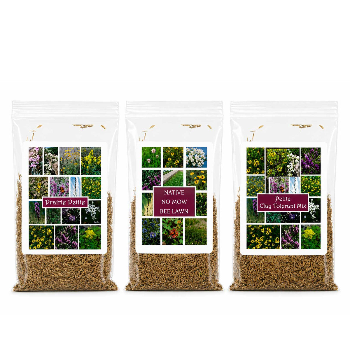 Petite Nebraska Wildflower Seed Mix Bundle | 1.44 oz | Prairie Legacy Inc.