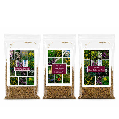Petite Nebraska Wildflower Seed Mix Bundle | 1.44 oz | Prairie Legacy Inc.