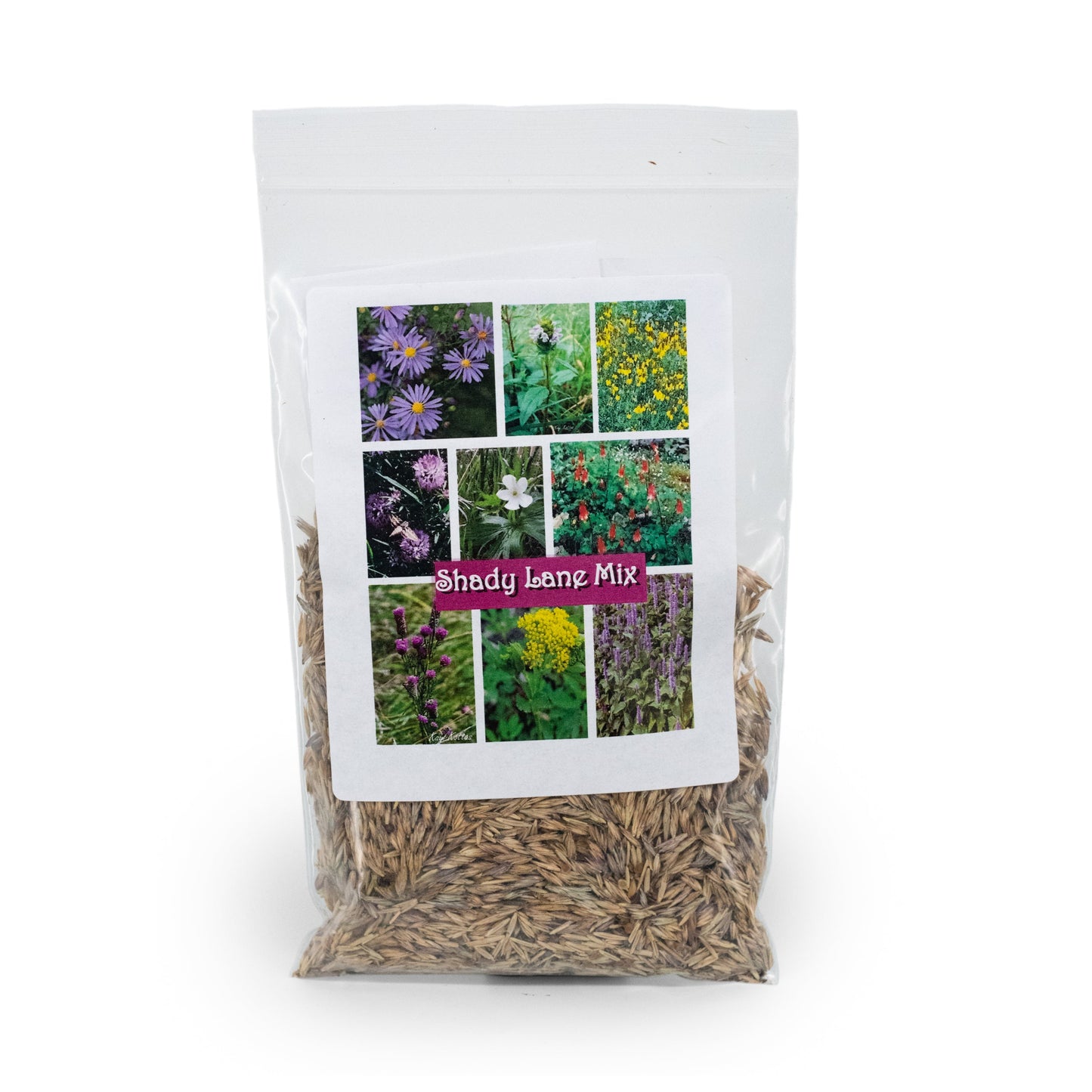 Shady Lane Native Wildflower Seed Mix | 2.88 oz | Prairie Legacy Inc.