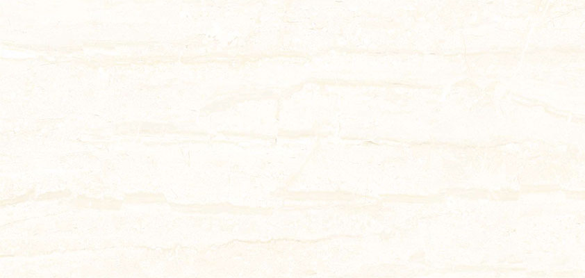 Proto Glossy 12x24 Wall Tile - NACS Collection