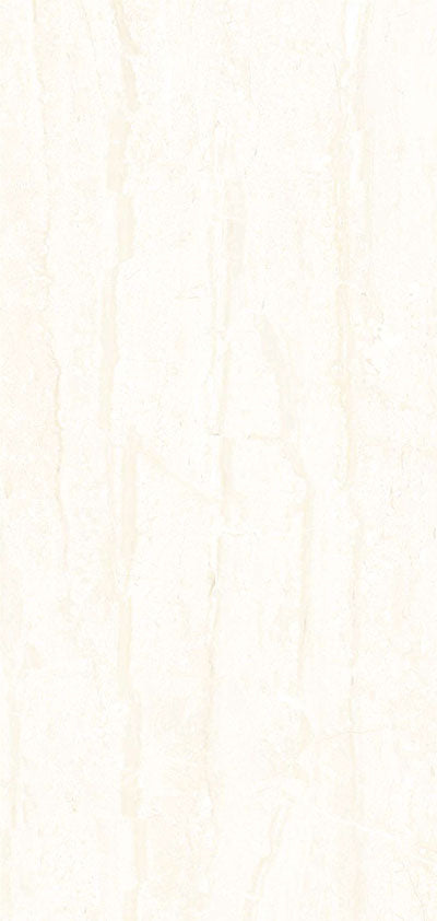 Proto Glossy 12x24 Wall Tile - NACS Collection