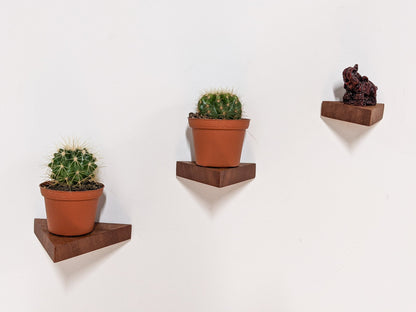 Small Triangle Display Shelf in Mahogany