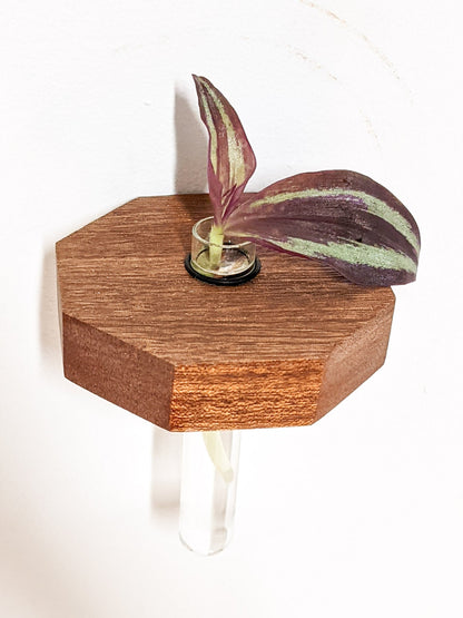 Octagon Propagation Station Shelf for Plant Cuttings