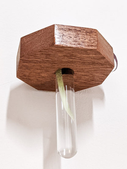 Octagon Propagation Station Shelf for Plant Cuttings
