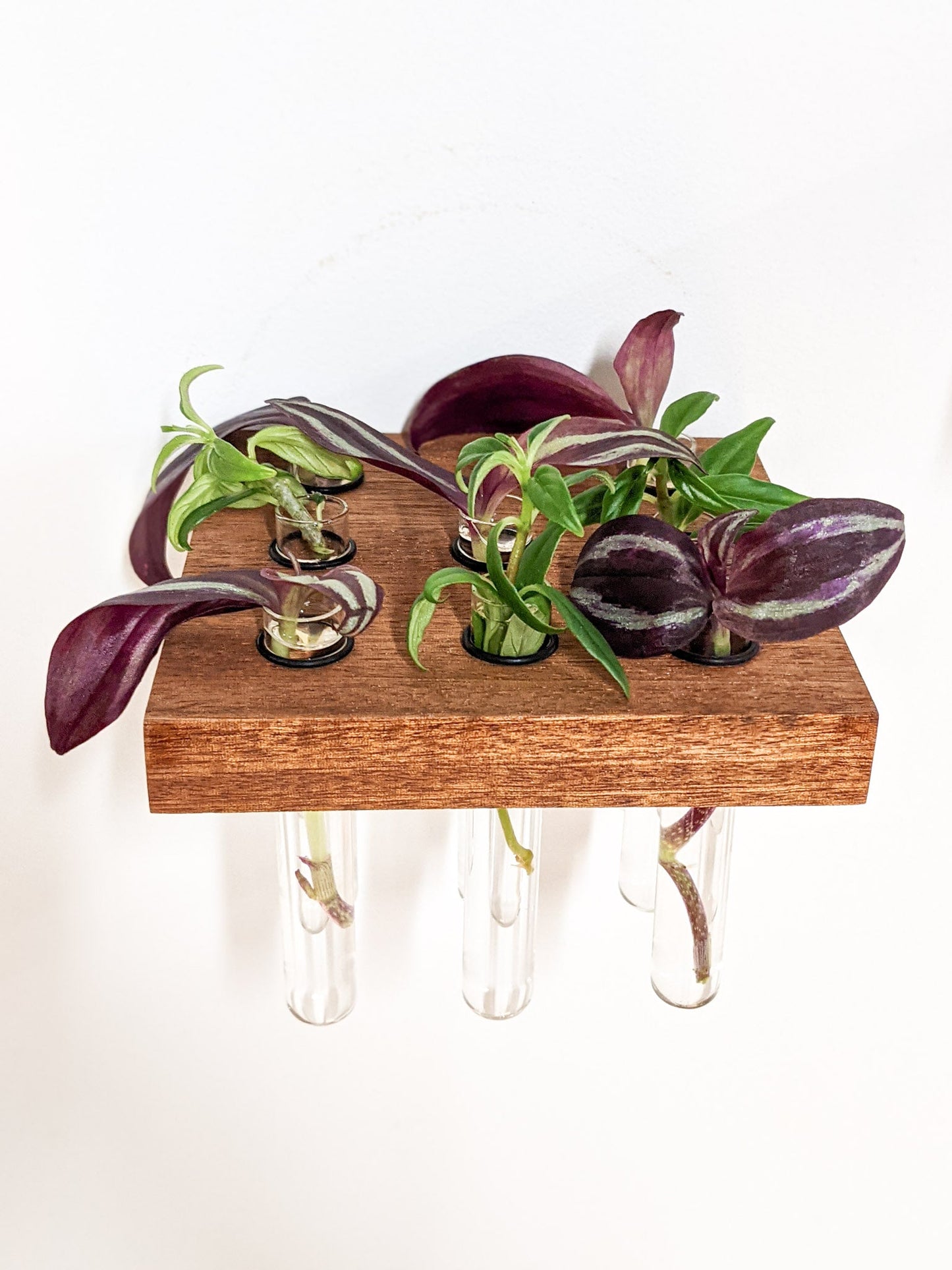 Square Propagation Station Shelf for Plant Cuttings