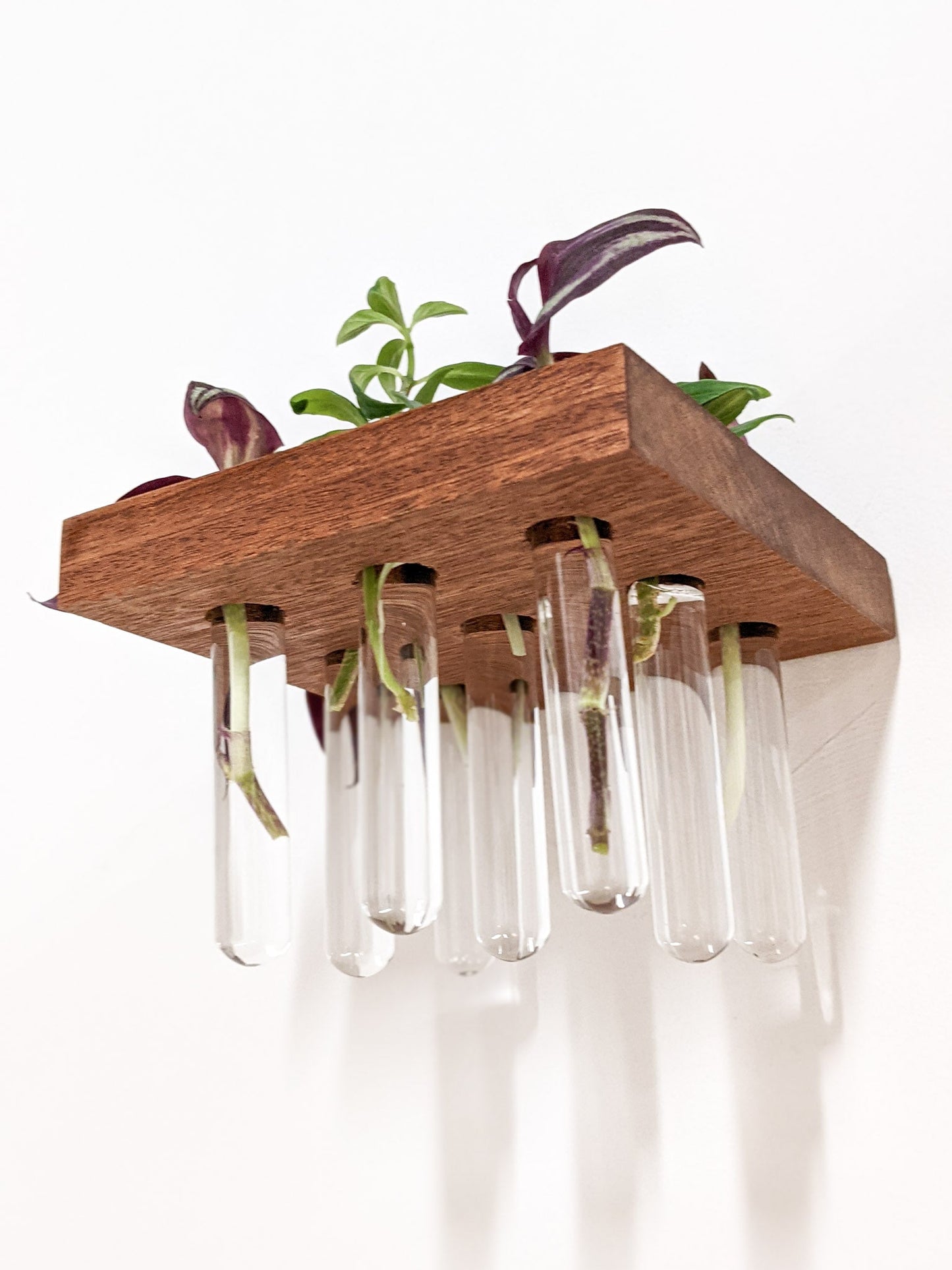 Square Propagation Station Shelf for Plant Cuttings