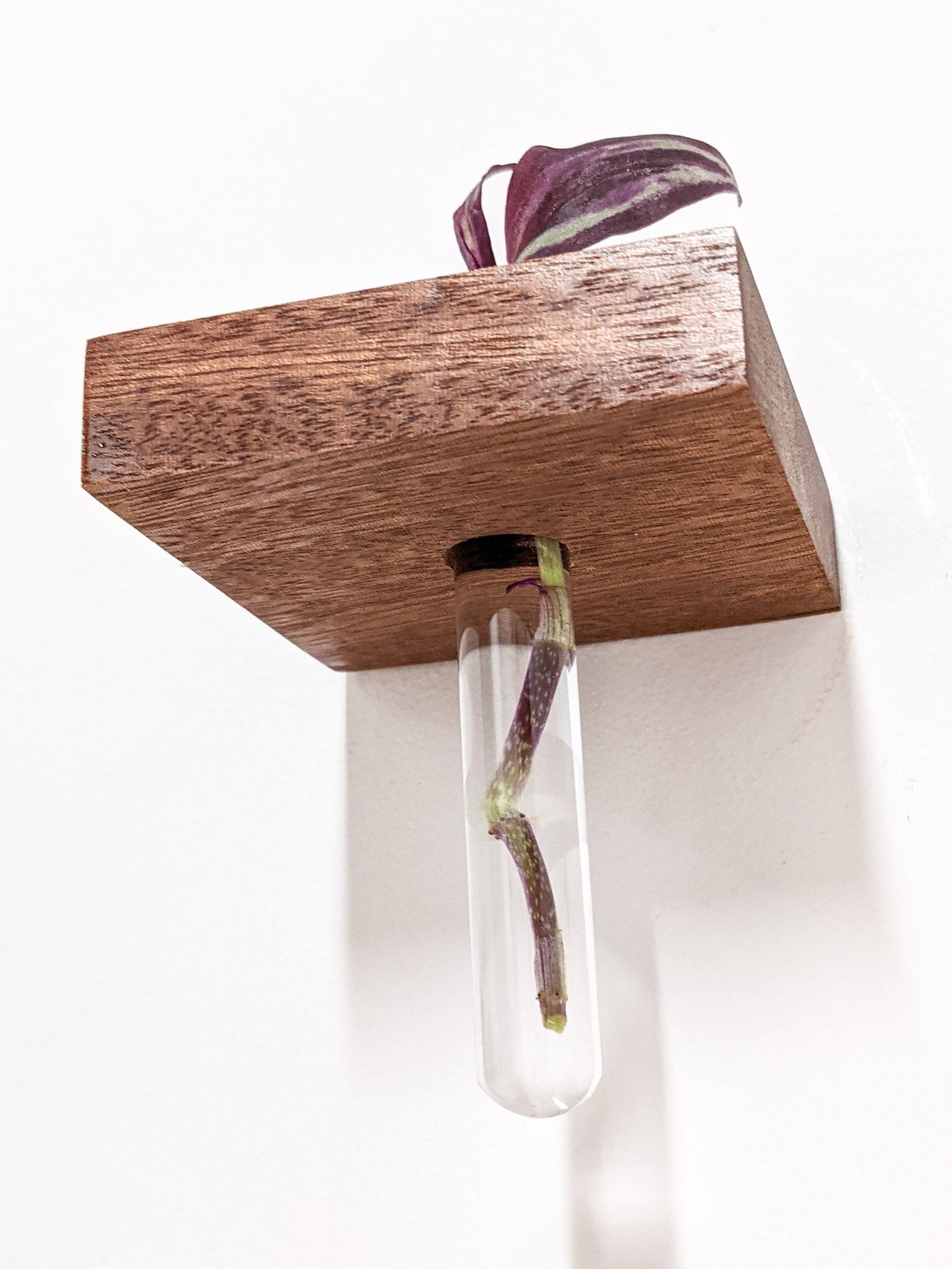 Square Propagation Station Shelf for Plant Cuttings