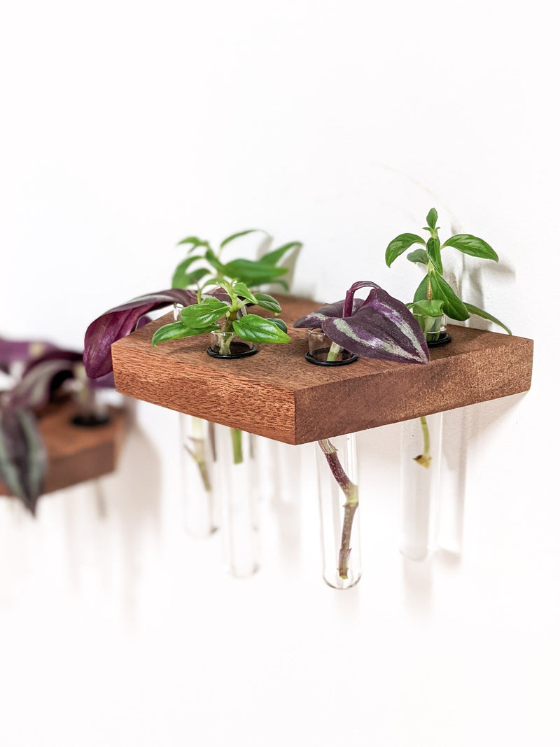 Trapezoid Propagation Station Shelf for Plant Cuttings