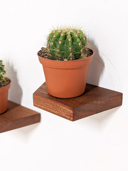 Small Floating Shelf Set