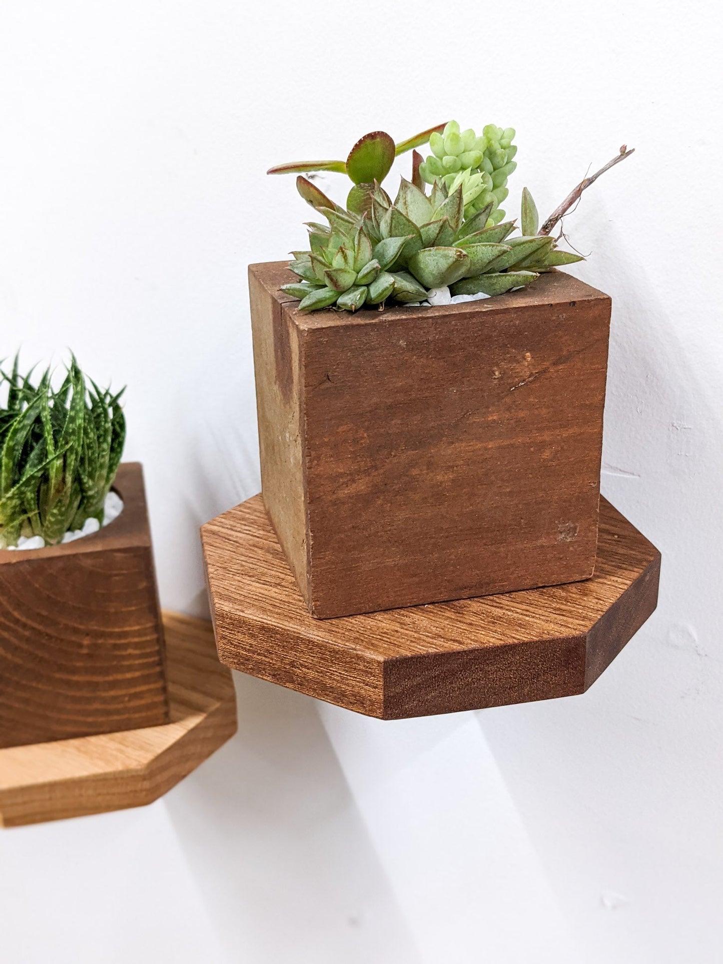 Small Octagon Display Shelf in Oak