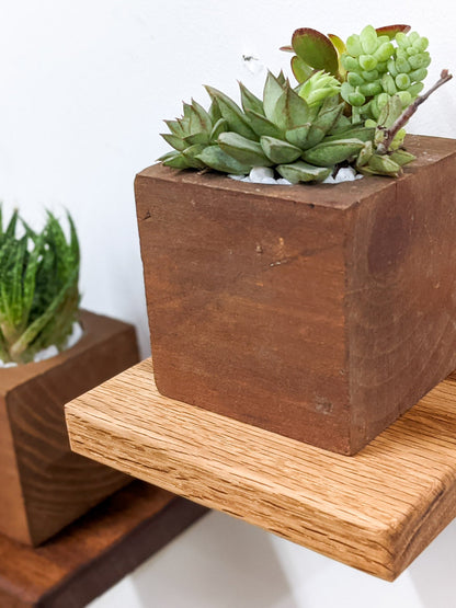 Small Square Display Shelf in Oak