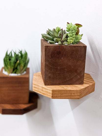 Small Octagon Display Shelf in Oak
