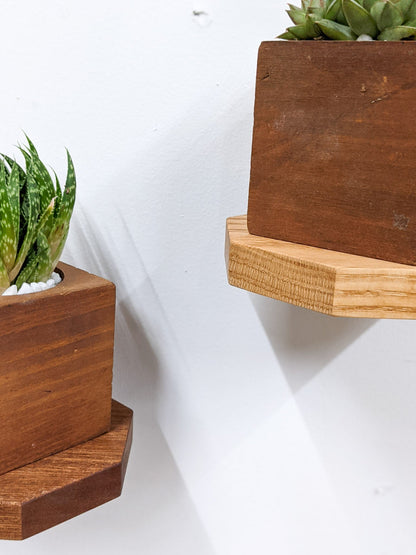 Small Octagon Display Shelf in Oak