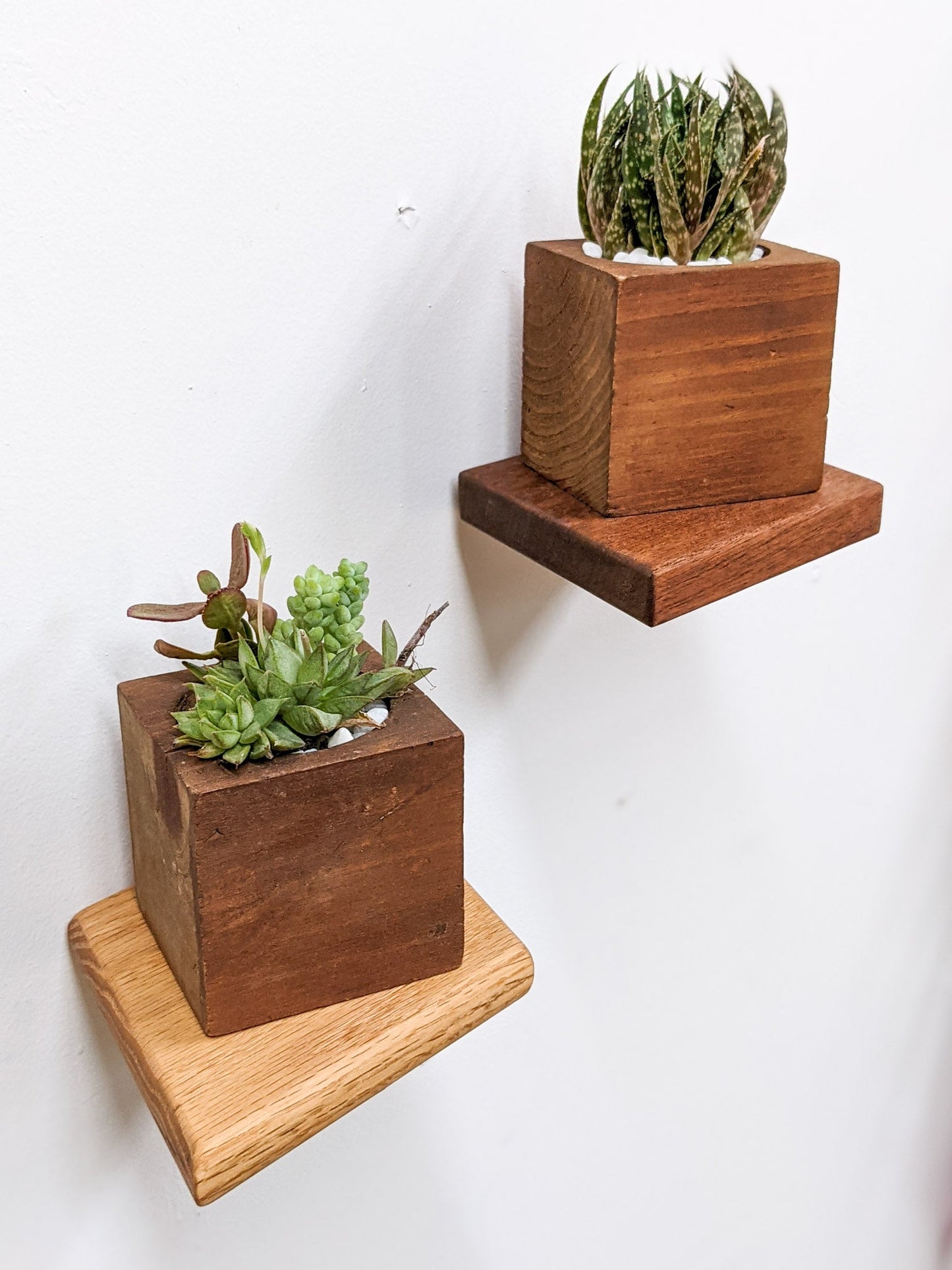 Small Rhombus Display Shelf in Mahogany