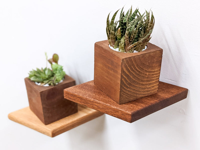 Small Rhombus Display Shelf in Mahogany