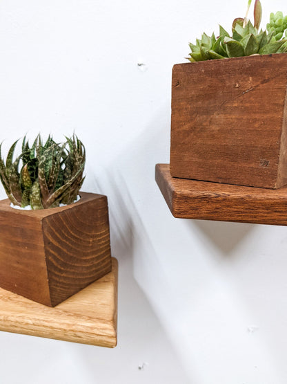 Small Rhombus Display Shelf in Mahogany