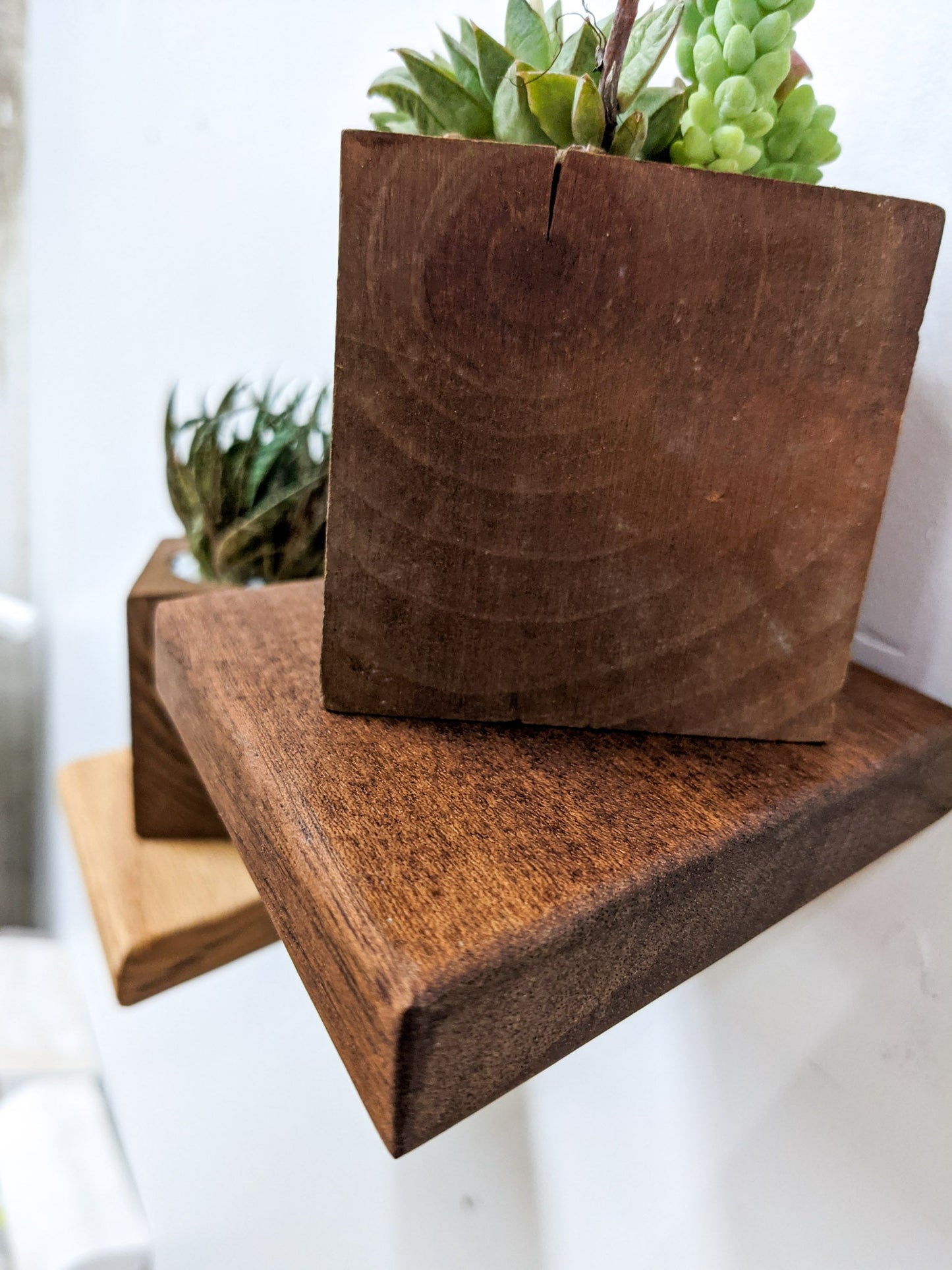 Small Rhombus Display Shelf in Mahogany