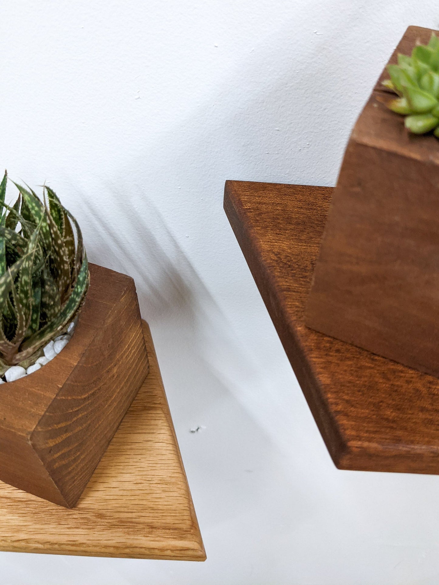 Small Rhombus Display Shelf in Mahogany