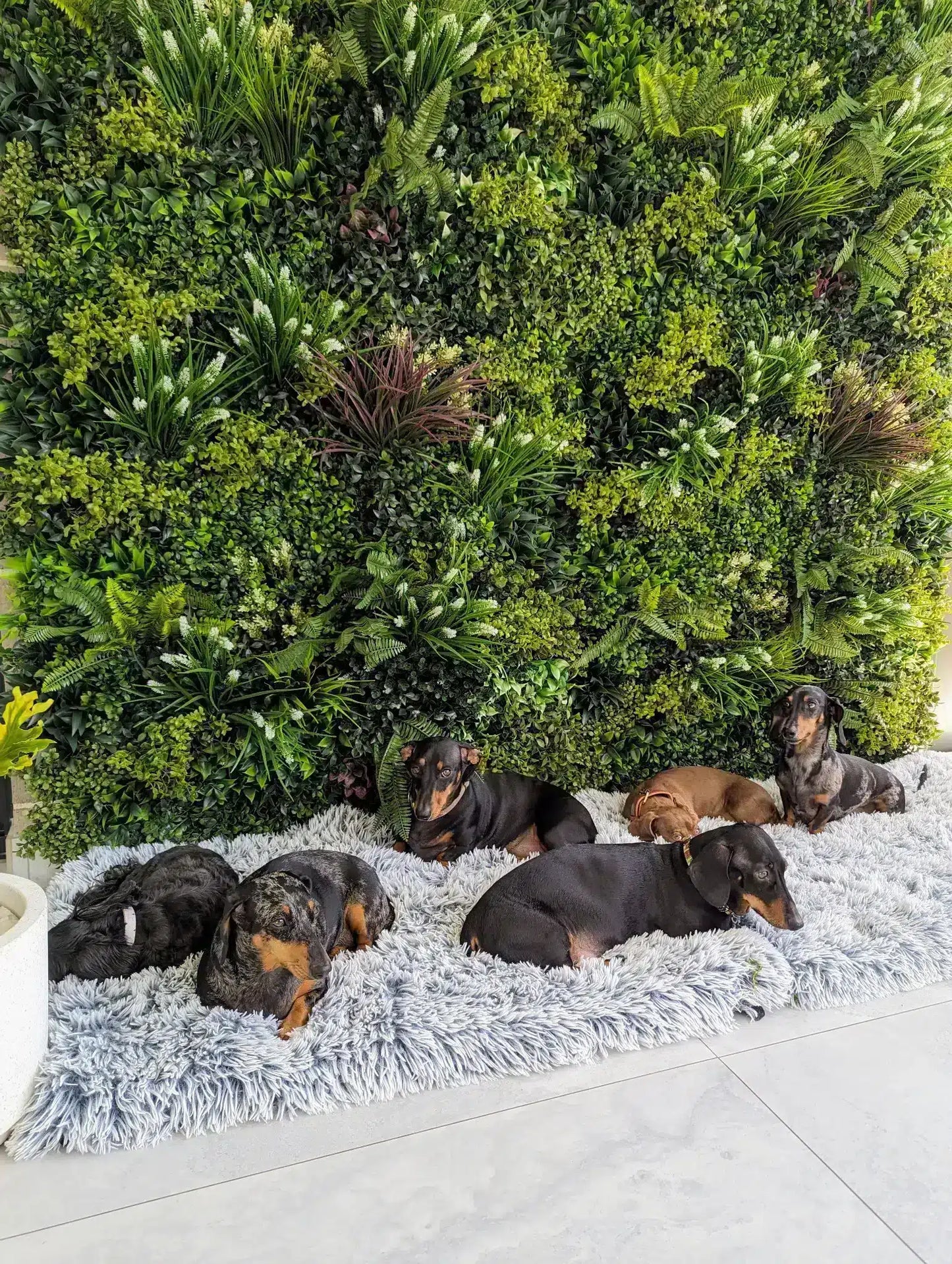 Lush Spring Artificial Vertical Garden Green Wall Panel 40×40in 11 SQ FT – UV Resistant – Commercial Grade