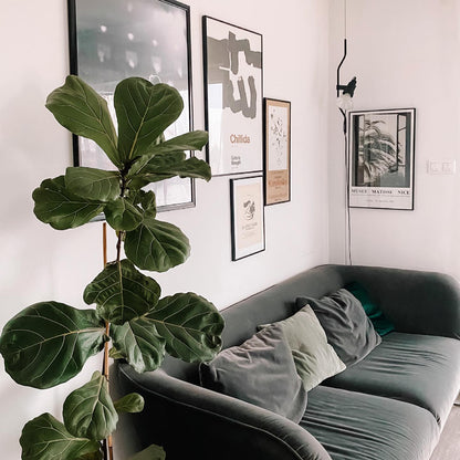 Parentesi Tension Cable Floor Lamp
